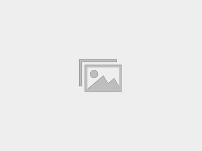 Basic Code – Unit 1 – s m c t g p a o